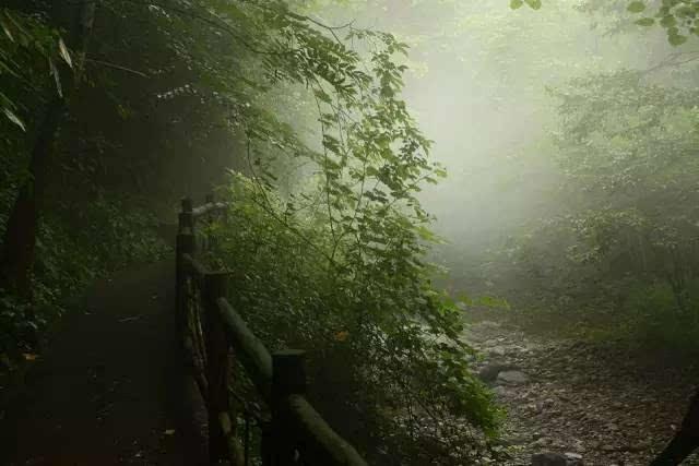清朝一户人家办丧事遇暴雨，老人预言：要出大官，多年后成真！