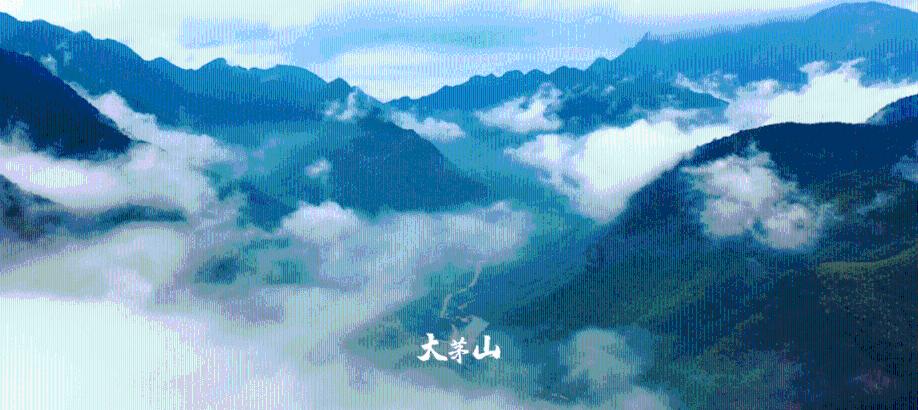 诚心“承意” 透明便利——承德海关着力打造“承意办”政务公开品牌
